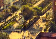 ODS en agosto planes sostenibles para tu semana ODS en agosto planes sostenibles para tu semana image