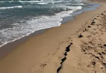 Ahogados Oliva Valencia el aviso que cambió todo image