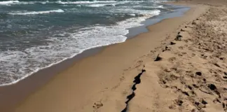 Ahogados Oliva Valencia el aviso que cambió todo image
