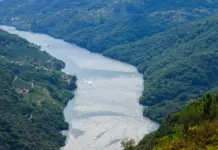 Ribeira Sacra y el plan rural que más enamora image
