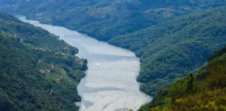 Ribeira Sacra y el plan rural que más enamora image