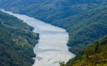 Ribeira Sacra y el plan rural que más enamora image