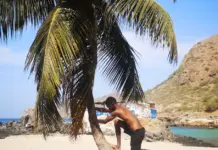 Ryan Mendes gana peso en el relato de Cabo Verde Ryan Mendes gana peso en el relato de Cabo Verde image