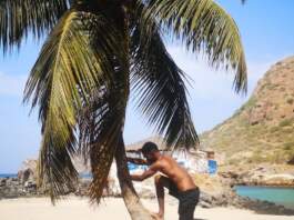 Ryan Mendes gana peso en el relato de Cabo Verde Ryan Mendes gana peso en el relato de Cabo Verde image