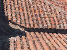 Perú registra un sismo de 7,2 y estas son las claves Perú registra un sismo de 7,2 y estas son las claves image