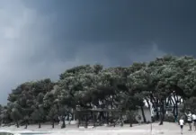 Viento extremo en Valencia deja daños y cortes de tren Viento extremo en Valencia deja daños y cortes de tren image