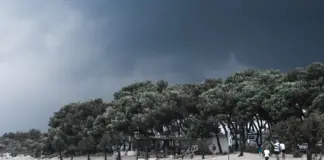Viento extremo en Valencia deja daños y cortes de tren image