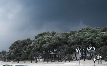 Viento extremo en Valencia deja daños y cortes de tren image