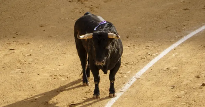 Onetoro tv cómo ver toros hoy en directo y sin perderte nada Onetoro tv cómo ver toros hoy en directo y sin perderte nada image