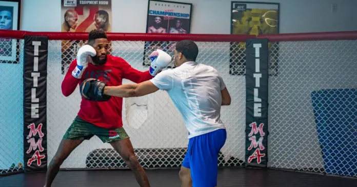 UFC 329 McGregor vuelve y Holloway puede dar la sorpresa image