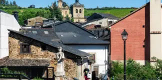 Viruela del mono Galicia preocupa por este brote image