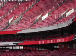 benfica - gil vicente y la gran novedad del once image