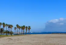 Cambrils y el salto mortal por un reto absurdo image