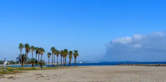 Cambrils y el salto mortal por un reto absurdo image