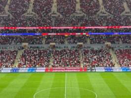 Italia – Bélgica, resultado y claves del partido Italia - Bélgica, resultado y claves del partido image