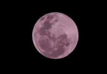Luna llena septiembre 2026 así fue la Luna de la Cosecha Luna llena septiembre 2026 así fue la Luna de la Cosecha image