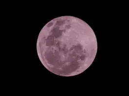Luna llena septiembre 2026 así fue la Luna de la Cosecha Luna llena septiembre 2026 así fue la Luna de la Cosecha image