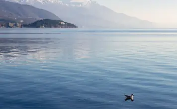 Macedonia del Norte - Suiza deja claves y sorpresas image