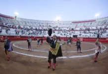 R.C.D. Mallorca – AD Ceuta con todos los detalles R.C.D. Mallorca - AD Ceuta con todos los detalles image