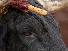 Matalascañas queda cubierta de fango tras el reventón Matalascañas queda cubierta de fango tras el reventón image