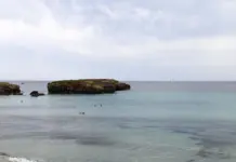 Cáncer y el legado de Naia que conmueve a Menorca image