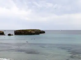 Cáncer y el legado de Naia que conmueve a Menorca Cáncer y el legado de Naia que conmueve a Menorca image