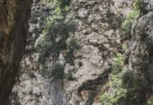 Ruta del Cares: qué ocurrió en el accidente mortal image