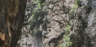 Ruta del Cares: qué ocurrió en el accidente mortal image