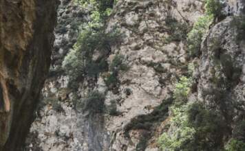 Ruta del Cares: qué ocurrió en el accidente mortal image