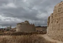 Boicot a Tanxugueiras en Palencia y su respuesta image