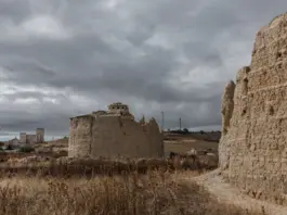 Boicot a Tanxugueiras en Palencia y su respuesta Boicot a Tanxugueiras en Palencia y su respuesta image