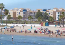 Torrevieja destapa la falsa identidad de un fugitivo image