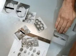 Unabomber: por qué su historia sigue inquietando en 2026 Unabomber: por qué su historia sigue inquietando en 2026 image