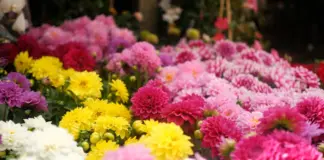 Verónica Blume y su trayectoria más allá de la moda image