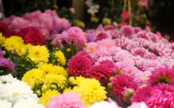 Verónica Blume y su trayectoria más allá de la moda image