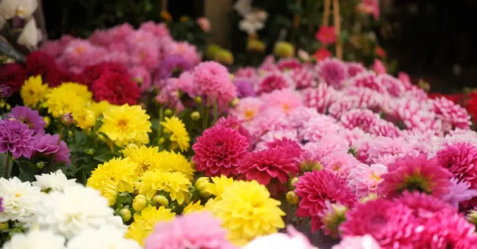 Verónica Blume y su trayectoria más allá de la moda Verónica Blume y su trayectoria más allá de la moda image