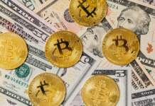 el economista analiza el pulso de Wall Street image