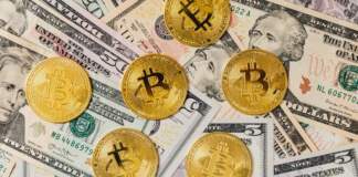 el economista analiza el pulso de Wall Street image