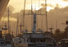 Widows Bay arrasa en los Emmy 2026 y deja historia Widows Bay arrasa en los Emmy 2026 y deja historia image