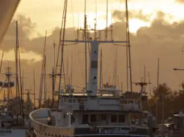 Widows Bay arrasa en los Emmy 2026 y deja historia Widows Bay arrasa en los Emmy 2026 y deja historia image