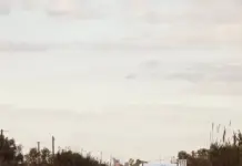 baliza v27 cómo funciona y qué coches la llevan image