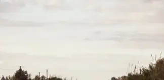 baliza v27 cómo funciona y qué coches la llevan image