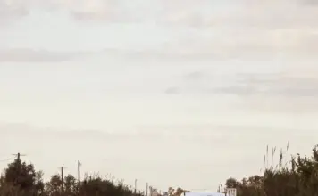 baliza v27 cómo funciona y qué coches la llevan image
