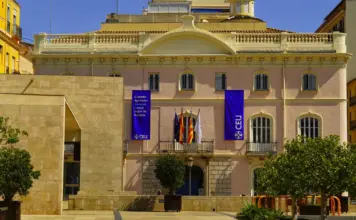Delegación del Gobierno en Ceuta activa nuevas ayudas image
