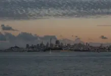 Doula ayuda a salvar un parto en el tráfico de San Francisco image