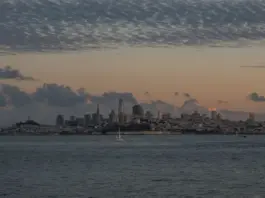 Doula ayuda a salvar un parto en el tráfico de San Francisco Doula ayuda a salvar un parto en el tráfico de San Francisco image