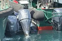 Embestida de una narcolancha en Murcia deja tres guardias heridos