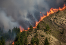 Canarias declara alerta por incendios en Gran Canaria y Tenerife
