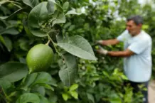 Lorca prueba la tecnología que combate la falta de agua