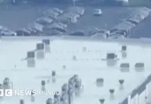 Avión de carga de Amazon se estrella en Miami y deja cinco muertos